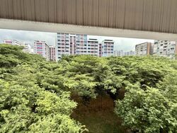 Blk 486 Pasir Ris Drive 4 (Pasir Ris), HDB 5 Rooms #584908401